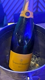 新着ブログ 🍾✨