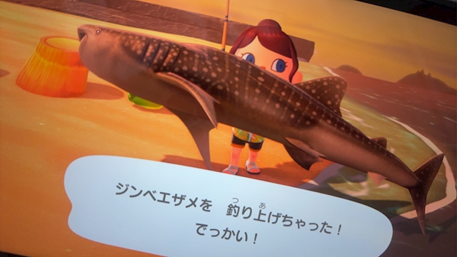 さら