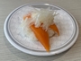 新着ブログ 半年ぶり🍣