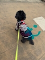 chiko