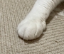 新着ブログ 3月26日 出勤🌷.*･ﾟ