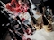プロフィール写真2・Mr.X｜Girls Lounge RED LILY・レッドリリー - 神田のガールズバー