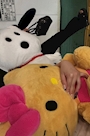 chiko