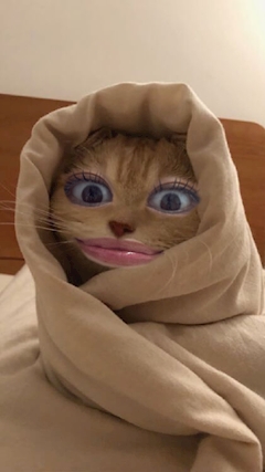 プロフィール写真2・あゆむ｜Girls Bar Dice・ダイス - 市原のガールズバー