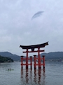 新着ブログ ⛩
