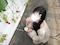 プロフィール写真2・ゆあ|CLUB SPECTRE 三宮店・スペクター - 三宮のキャバクラ
