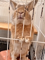 新着ブログ 🐰💕