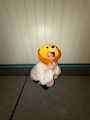 chiko