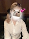 プロフィール写真2・ひまり シュシュ新橋SL店|ChouChou新橋SL店・シュシュ新橋エスエル店 - 新橋のキャバクラ