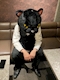 プロフィール写真4・店長 馬場崇|鹿児島/天文館/キャバクラ/倶楽部 鶴 つる