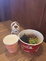 chiko