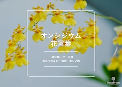 プロフィール写真4・灯花|Eternal・エターナル - 国分町のスナック