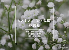 プロフィール写真2・灯花|Eternal・エターナル - 国分町のスナック