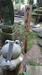 プロフィール写真8・灯花|Eternal・エターナル - 国分町のスナック