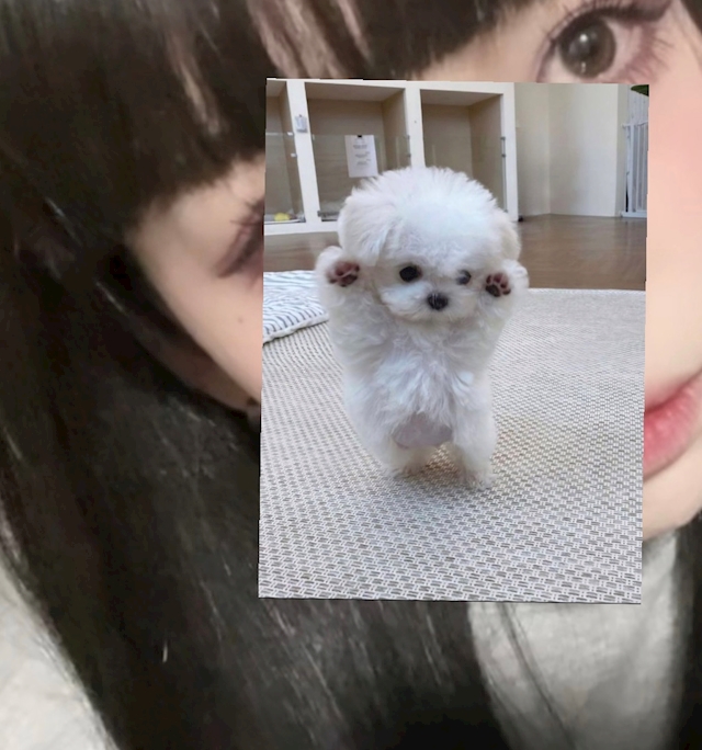 プロフィール写真1・レイ｜