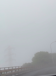 緒方ゆみ