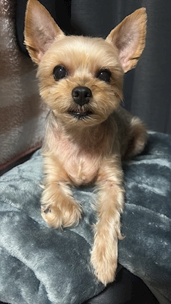 プロフィール写真3・えりか🖤💙｜CASUAL SNACK PARFAIT・パルフェ - 北名古屋のスナック