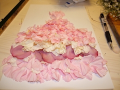 ゆき❄️camelia bianco