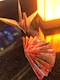 プロフィール写真23・美久|花魁遊郭GIRL'S BAR+・オイランユウカクガールズバープラス - 松山のガールズバー