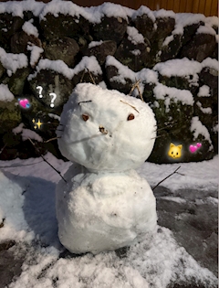 あや