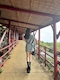 プロフィール写真1・らら♥|GirlsBar Twenty Seven -27-歌舞伎町店・トゥエンティセブン - 歌舞伎町のガールズバー