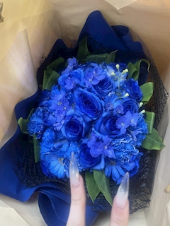 沙花叉 ひな