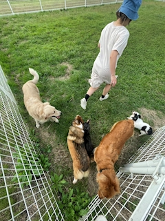 nobuko　ママ「よく行くドッグラン」