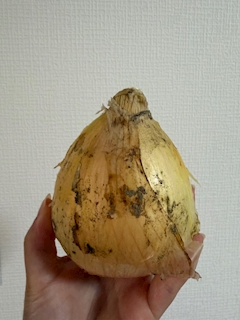 みらい