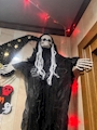 新着ブログ 🎃はなはな