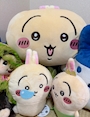 chiko