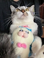 chiko