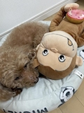 中の人