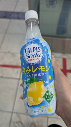 🌟✨れな✨🌟