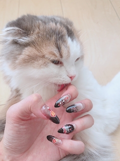 プロフィール写真6・あまねこ｜MONOKURO・モノクロ - 中洲のガールズバー