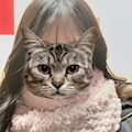 ゆう