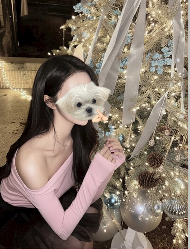 なごみ🩶Zcafeのプロフィール写真