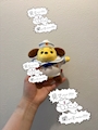 chiko