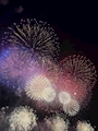 新着ブログ (○・o・)/*花⃠火⃠