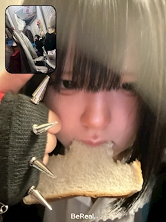 🍃 たぬき �...