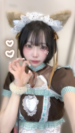 プロフィール写真15・しろ☁️｜猫耳コンカフェ C4・シーフォー - 名古屋 金山のコンカフェ