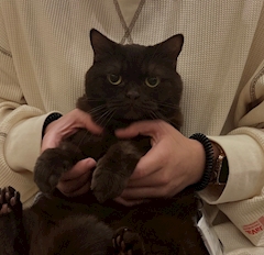 プロフィール写真3・幻のシックスマン｜Girls Bar Lounge & Co.・アンドコー - 小田原駅東口のガールズバー