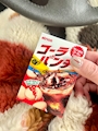 chiko