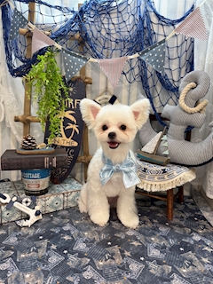 プロフィール写真6・ゆりか｜Girls Bar elf・エルフ - 東中野のガールズバー