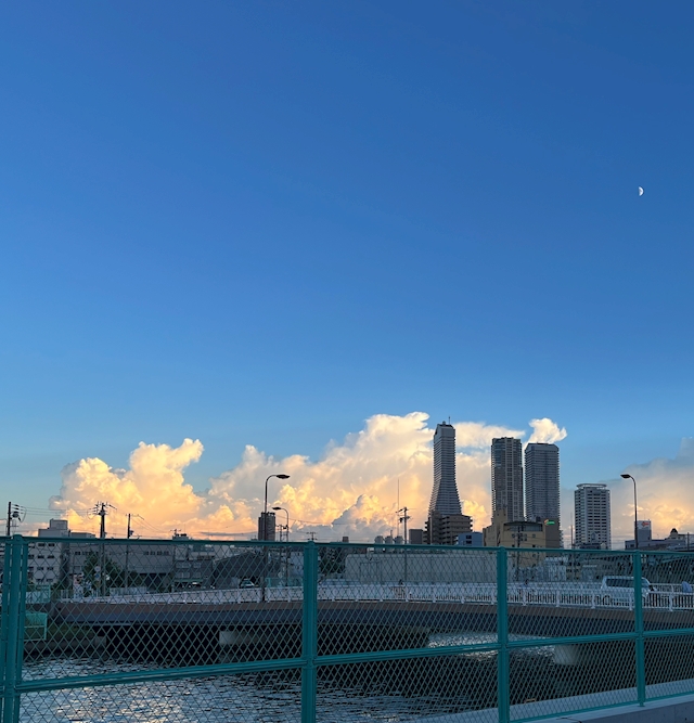 プロフィール写真2・あゆみ|大阪 福島 ラウンジ・リベルテ