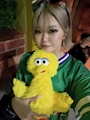 chiko