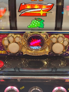 プロフィール写真14・さな‪ Runway｜Club Runway・ランウェイ - 千葉・富士見町のキャバクラ