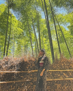 りか🪼下北沢CLUB BARON