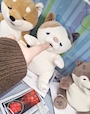 chiko