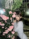 プロフィール写真4・りん|猫耳コンカフェ C4・シーフォー - 名古屋 金山のコンカフェ