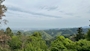 新着ブログ 山登り⛰️🍃
